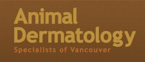 Animal Dermatology Specialists of Vancouver