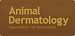 Veterinary Dermatology - Bcskinvet.com
